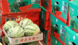 大竹吃瓜最新事件爆料新闻,揭秘最新事件背后惊人真相